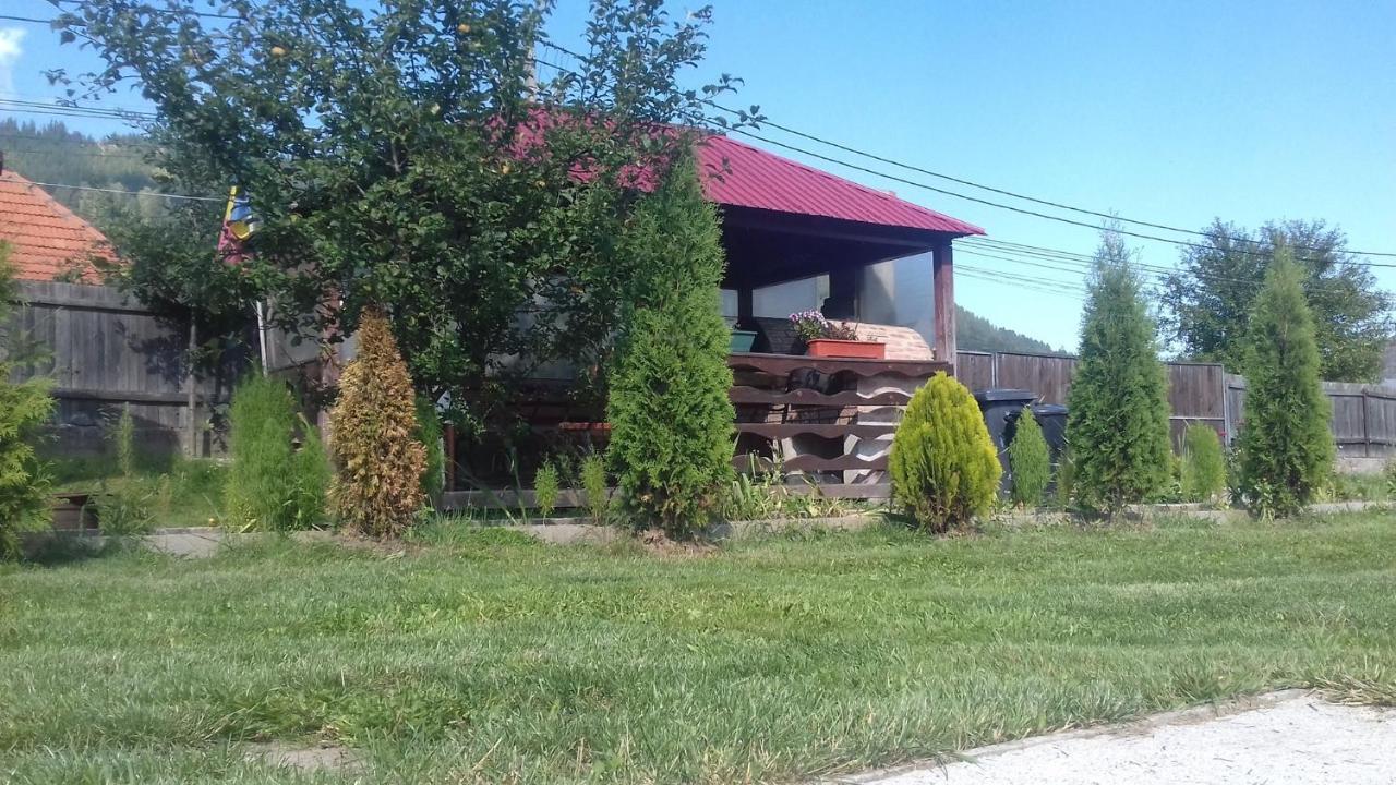 ホテル Casa Magnolia Tulgheş エクステリア 写真
